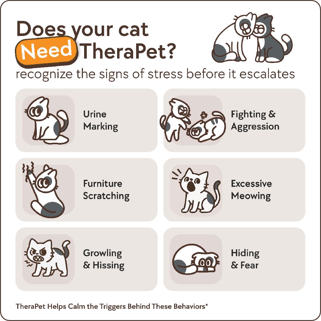 Cats Calming Diffuser Kit – image 3