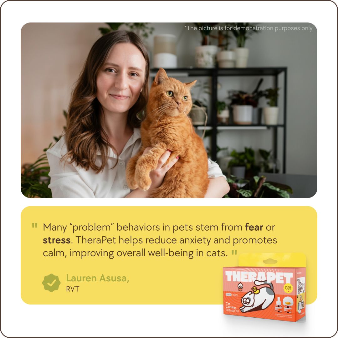 Cats Calming Diffuser Kit – image 11