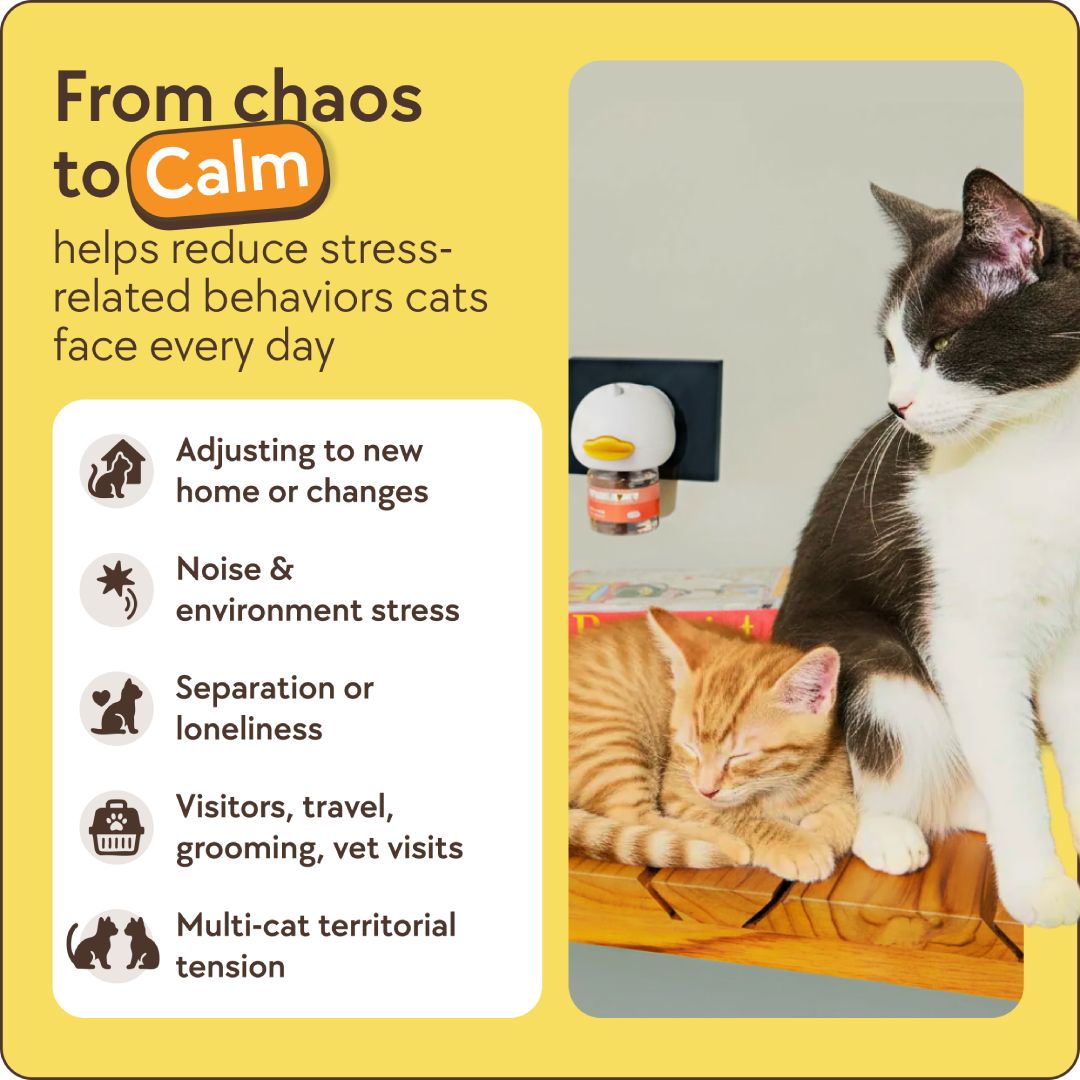 Cats Calming Diffuser Kit – image 5