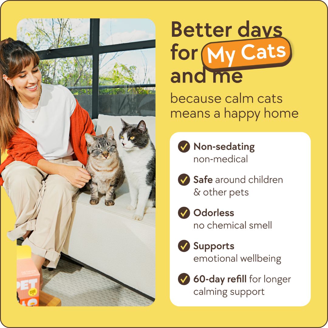 Cats Calming Diffuser Kit – image 7