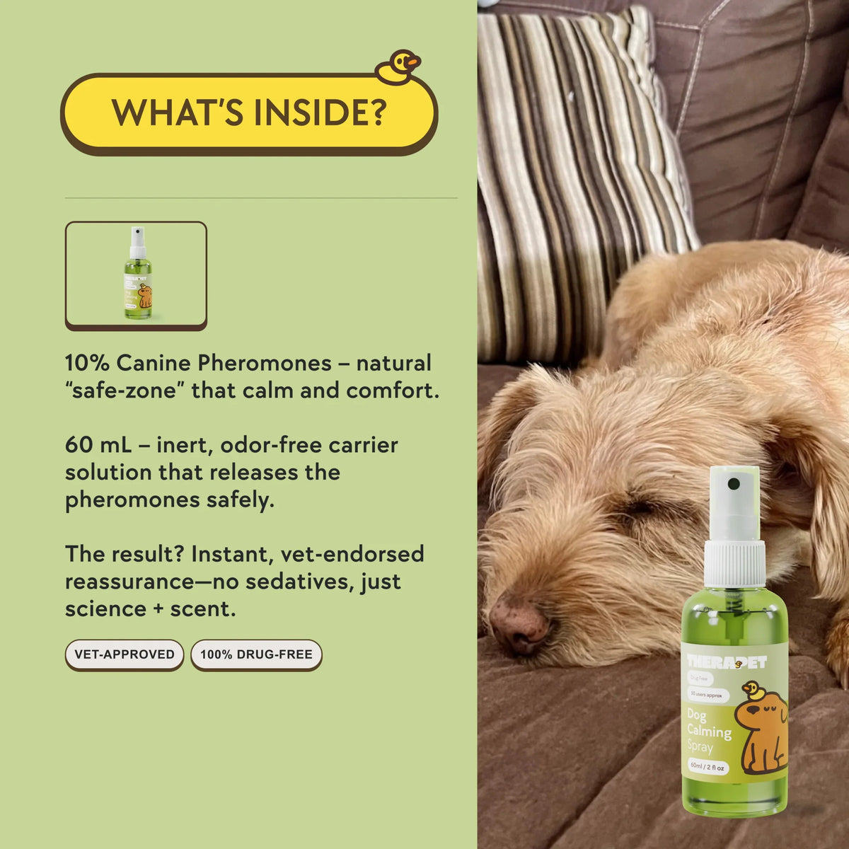 Dog Calming Spray – image 6