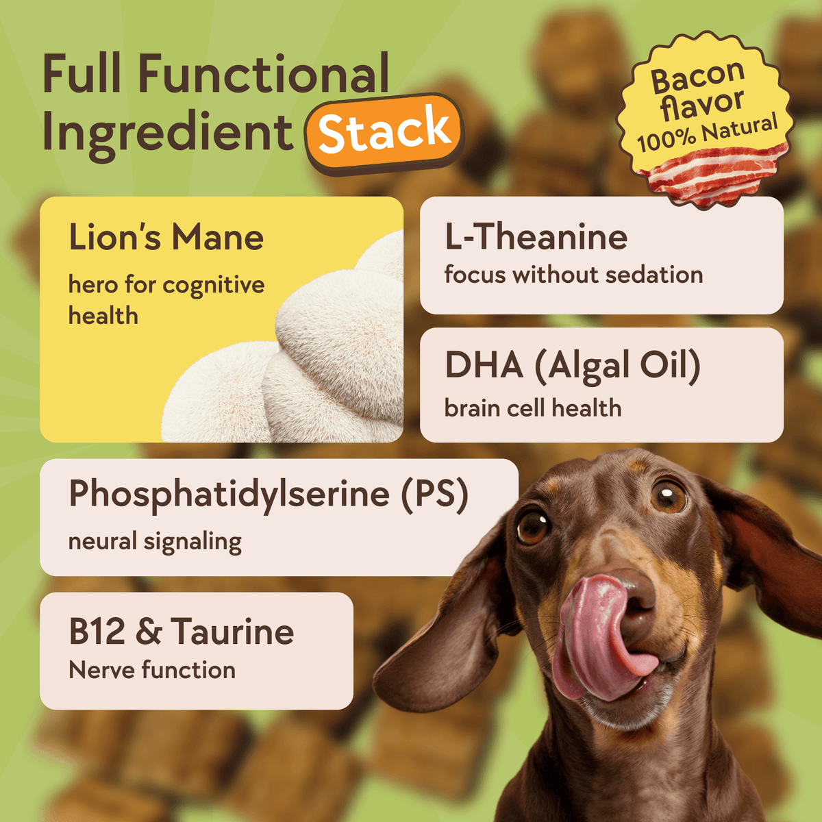 DOGUS Training Treats – image 6
