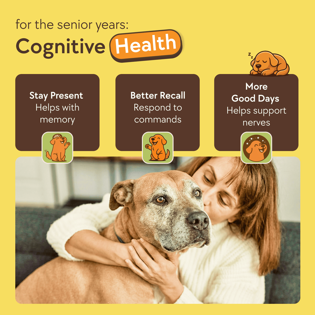 DOGUS Training Treats – image 5