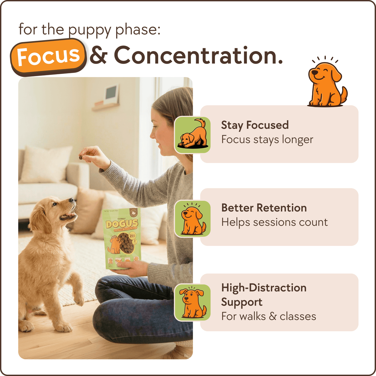 DOGUS Training Treats – image 4