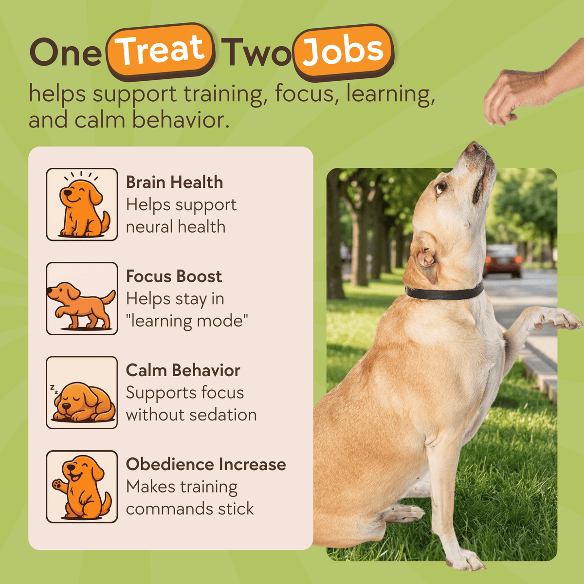 DOGUS Training Treats – image 2