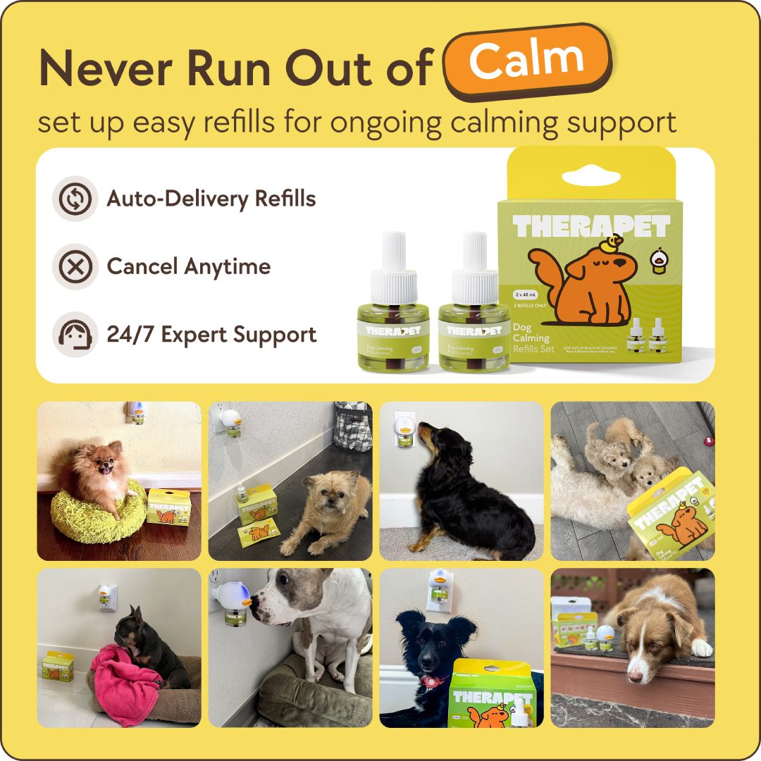 TheraPet Dogs Refills – image 12