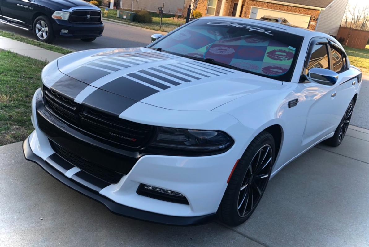 MAXL SHINE