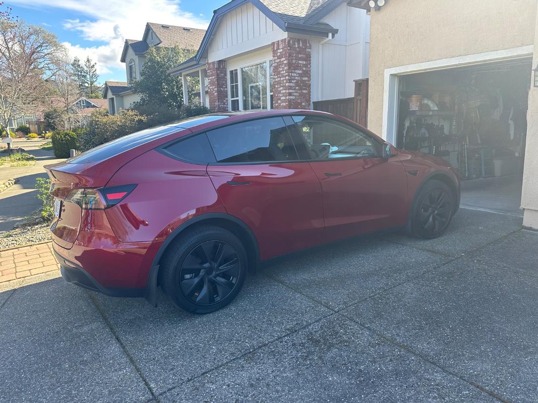 TESLA LOOKS AWESOME