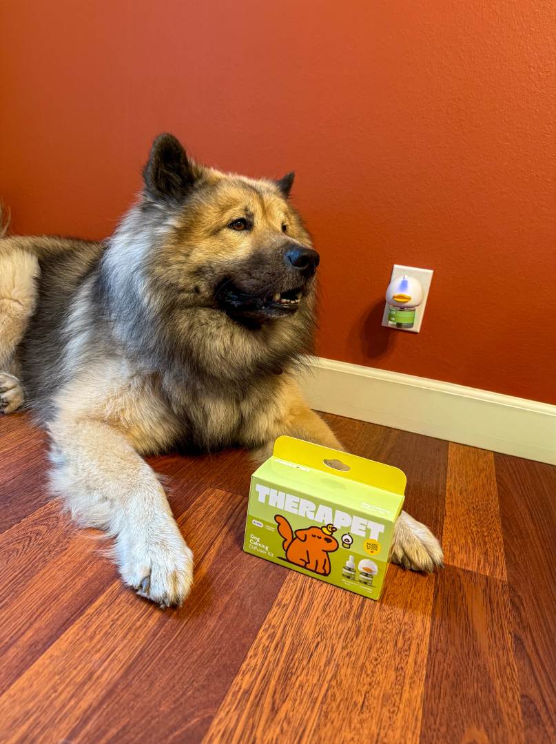 Happy TheraPet customer and dog