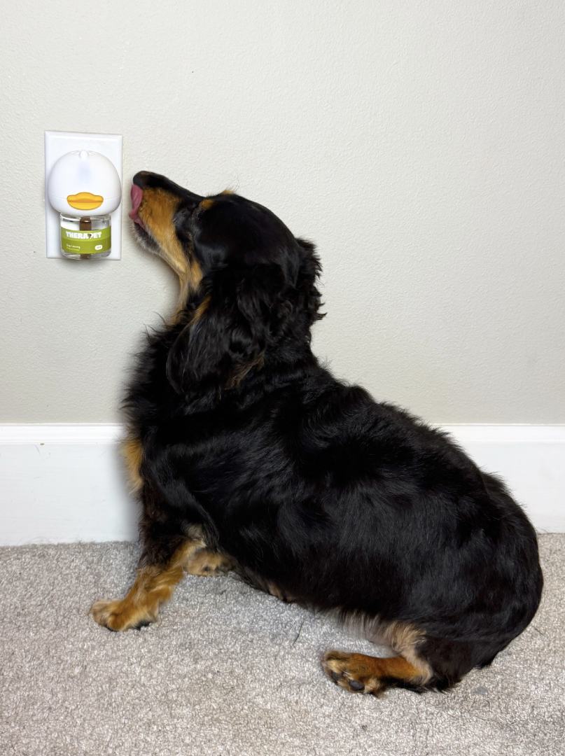 Happy TheraPet customer and dog