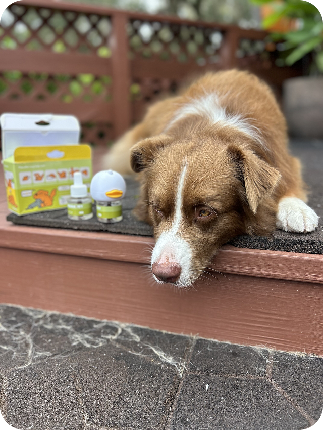 Happy TheraPet customer and dog